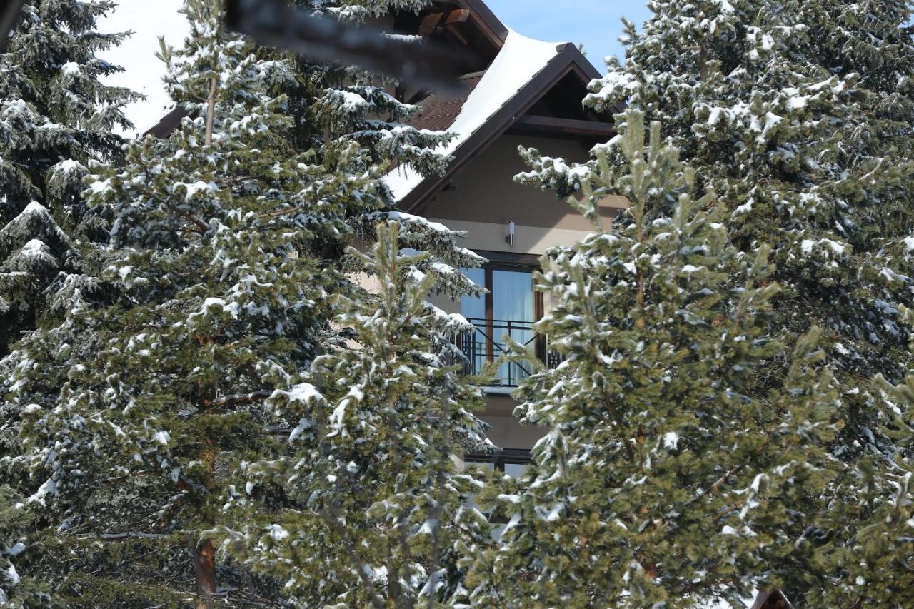Mipet Apartmani Zlatibor Zewnętrze zdjęcie